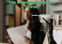 Top Mesothelioma Law Firm