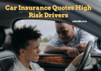 Car Insurance Quotes High Risk Drivers