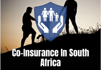 Co Insurance In South Africa