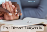 Free Divorce Lawyers in Johannesburg