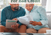 Loans in South Africa For Bad Credit