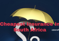 Insurance In South Africa