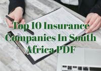 Top 10 Insurance Companies In South Africa PDF