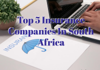 Top 5 Insurance Companies In South Africa