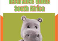 Hippo Car Insurance Quote South Africa