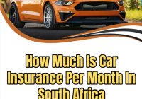How Much Is Car Insurance Per Month In South Africa
