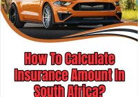 How To Calculate Insurance Amount In South Africa?