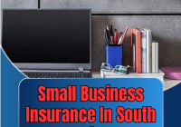 Small Business Insurance In South Africa