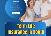 Term Life Insurance In South Africa