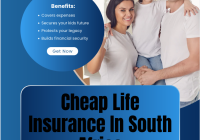 Cheap Life Insurance In South Africa