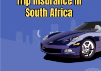 Trip Insurance In South Africa