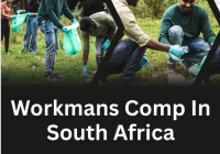 Workmans Comp In South Africa
