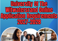 University Of The Witwatersrand Online Application Requirements 2027-2028