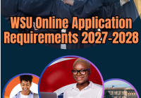 WSU Online Application Requirements 2027-2028